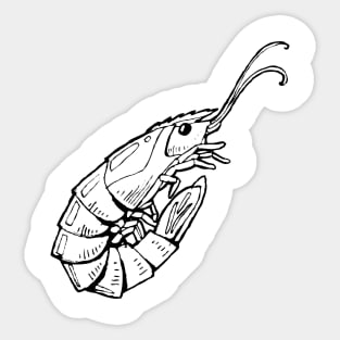 shrimp Sticker